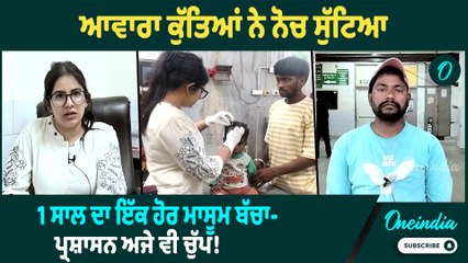 Punjab News | ਆਵਾਰਾ ਕੁੱਤਿਆਂ ਨੇ ਨੋਚ ਸੁੱਟਿਆ 1 ਸਾਲ ਦਾ ਇੱਕ ਹੋਰ ਮਾਸੂਮ ਬੱਚਾ - ਪ੍ਰਸ਼ਾਸਨ ਅਜੇ ਵੀ ਚੁੱਪ !