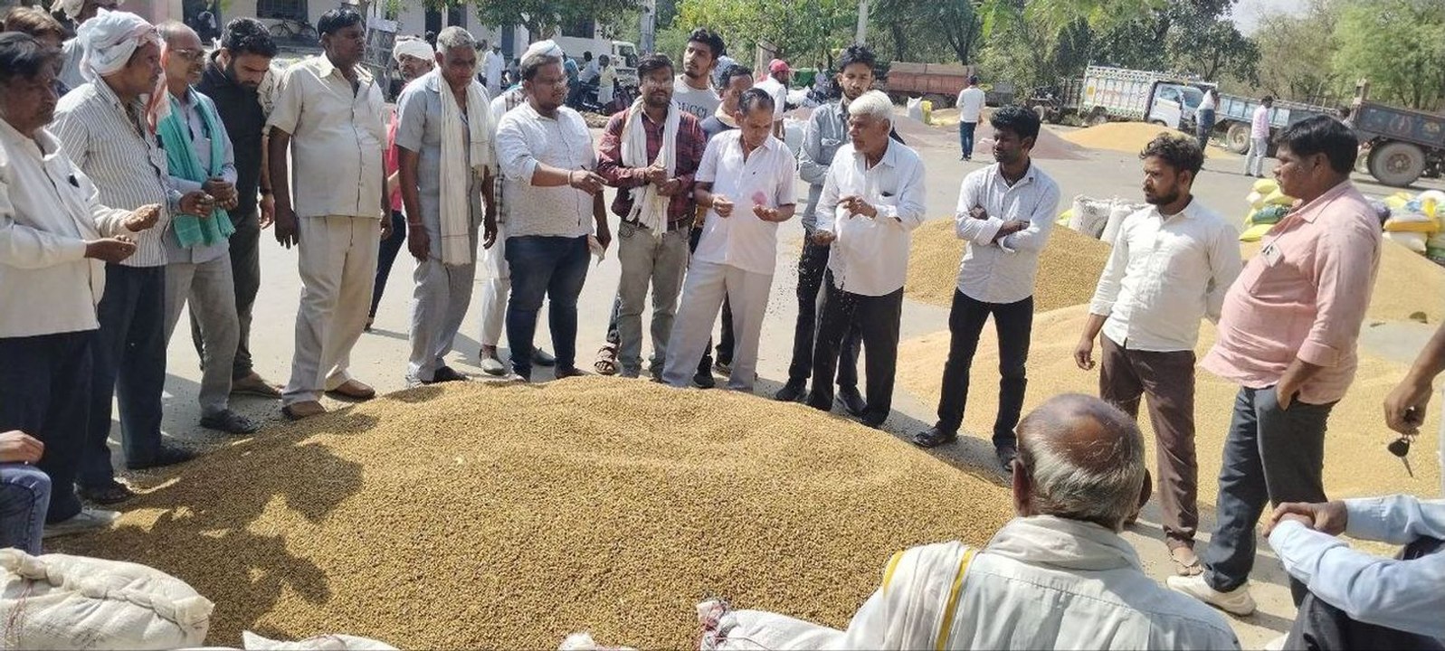 अब नए चना की आवक शुरू, मंडी में रबी फसल की तीनो...
