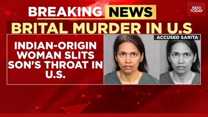 Indian-origin woman slits son's throat after Disneyland trip amid custody battle