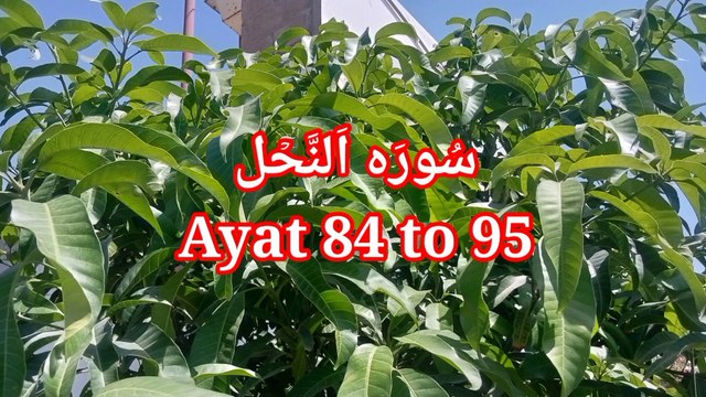 Surah An Nahl | Quran Shareef ki tilawat || Recitation of Quran | Tilawat beautiful voice |