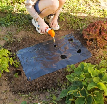 Blooming Beautiful : Trucs et astuces de jardinage pour réussir toute l'année !