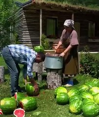 Saleemoffical presentation - Natural cooling system #watermelon