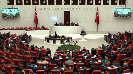 Yeniden Refah Partisi Konya Milletvekili, Almanya'da Türk ve Müslümanlara yönelik ırkçı saldırıları Meclis'te gündeme getirdi.
