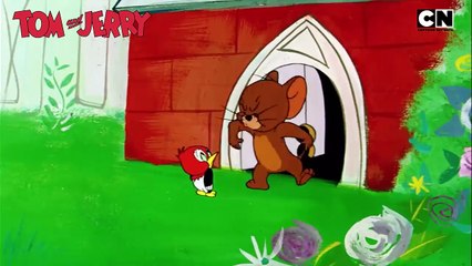 Tom and Jerry The Duo of Destruction