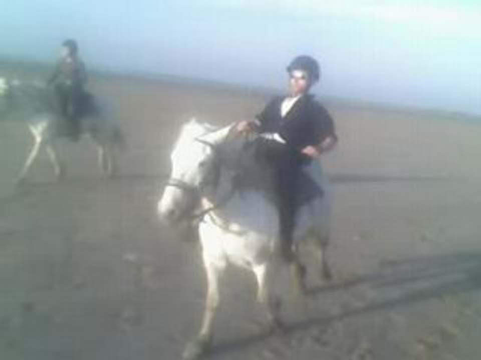Galop sur la plage en Camargue