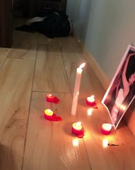 🐾 Welcome to the cutest corner of the Internet! In today's video, we're di