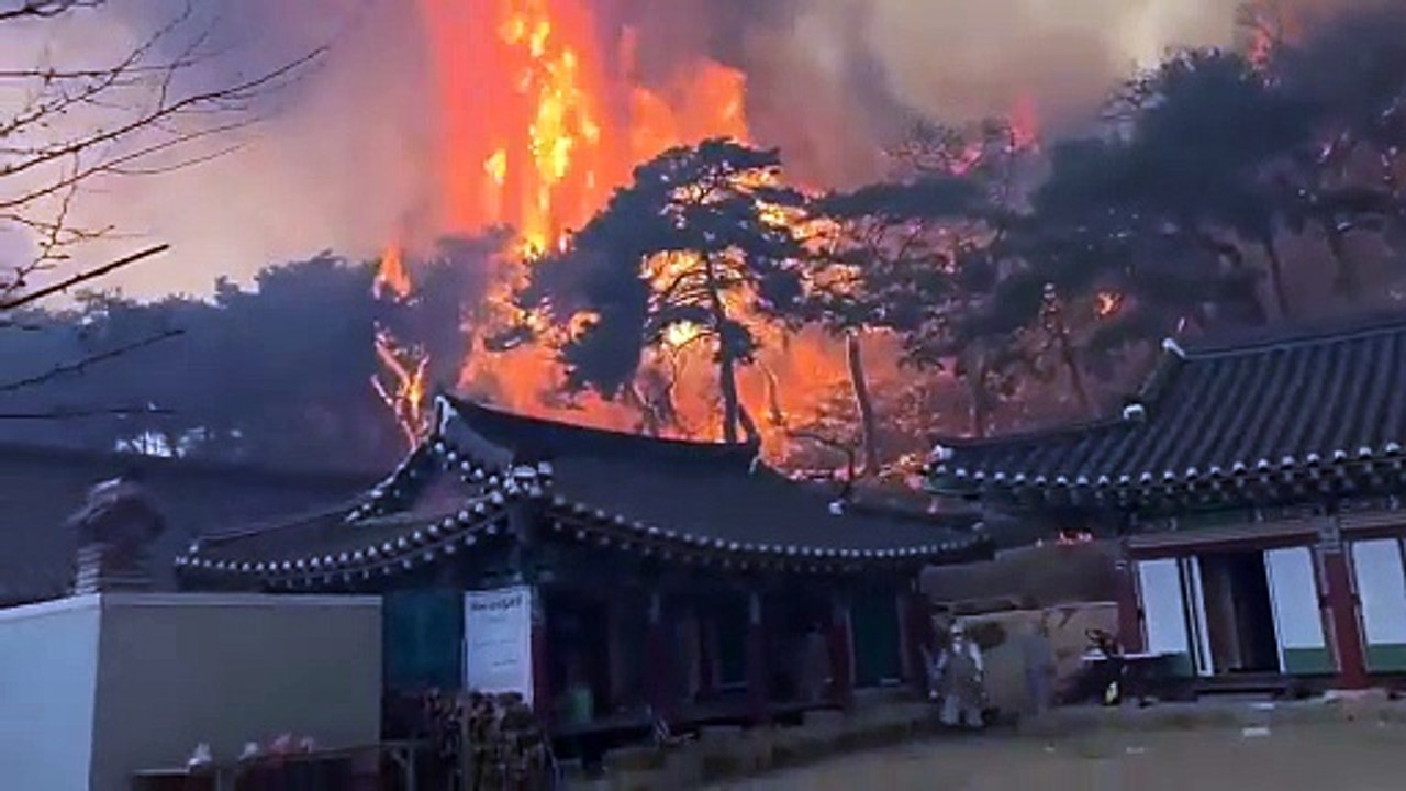 Incêndios na Coreia do Sul