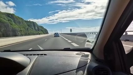 Une meute de chiens en vadrouille sur la NRL