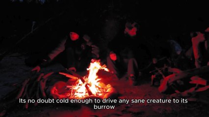 Wood smoke | Whispers in Snow | Shadows Beyond Light | Frozen in Fear
