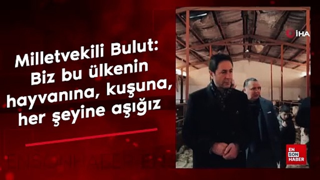 Milletvekili Bulut: "Biz bu ülkenin hayvanına, kuşuna, her şeyine aşığız"