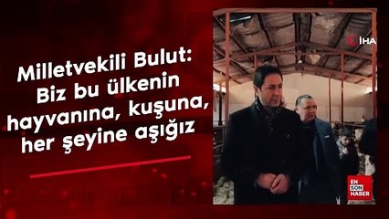 Milletvekili Bulut: "Biz bu ülkenin hayvanına, kuşuna, her şeyine aşığız"