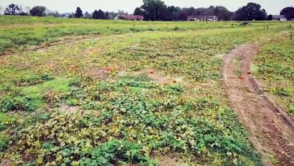 Finding Your Roots S11E04: Celebrating Dreamers and Their Journeys ✨