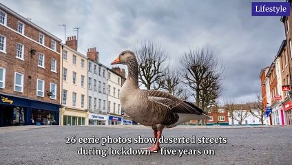 National World Top Stories Update 23 March, 2025