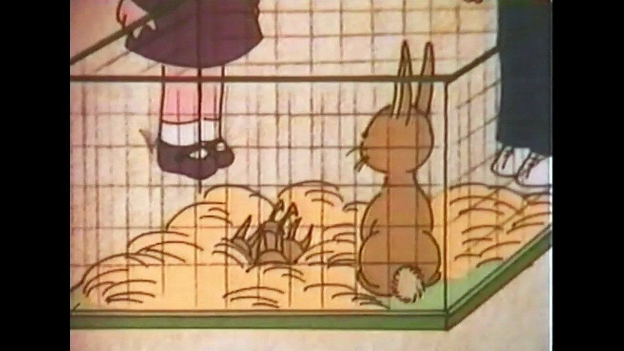 Gil e Julia - O Coelho Selado