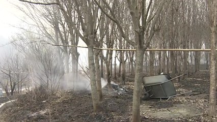 산불로 국가유산 3건 피해...900년 은행나무도 불타 / YTN