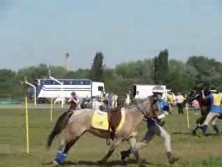 Run & ride tigneu