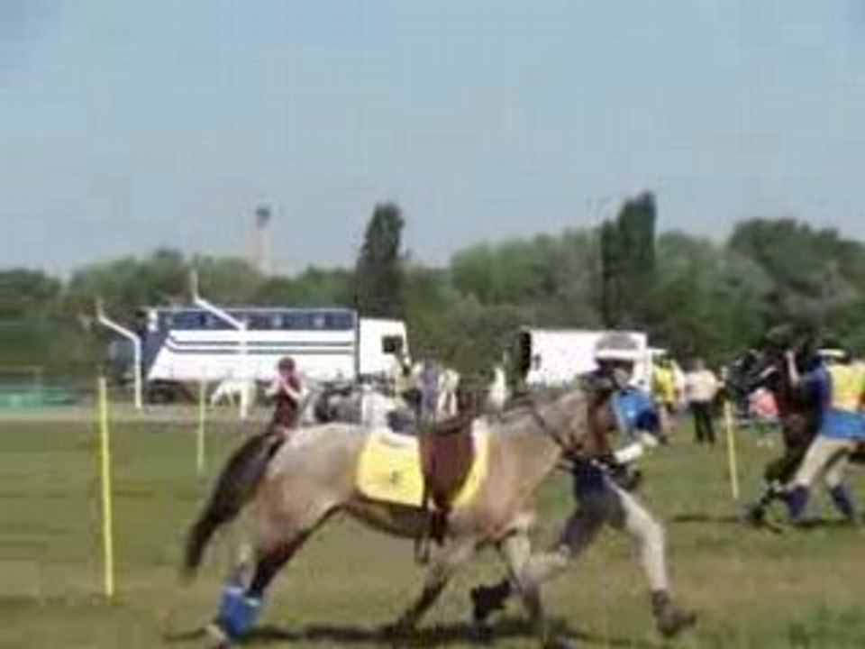 Run & ride tigneu