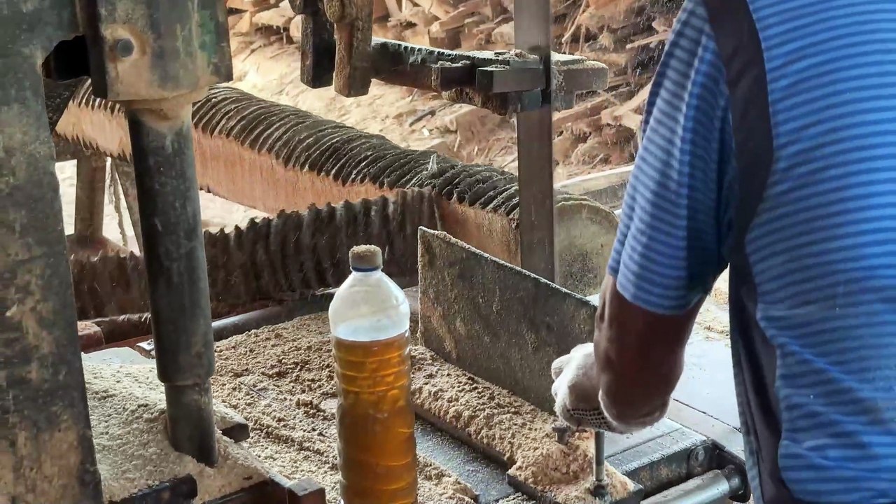 Making 2x20 Wood from Coconut Trees with Sawmill Machine