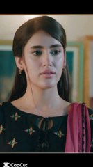 Homa Dol (LYRICS + ENGLISH