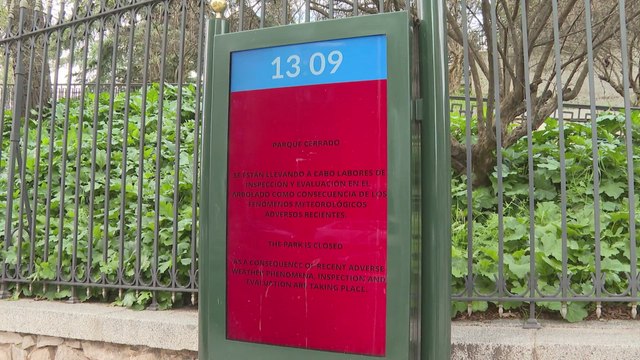 El parque del Retiro (Madrid) queda cerrado por labores de evaluación del arbolado