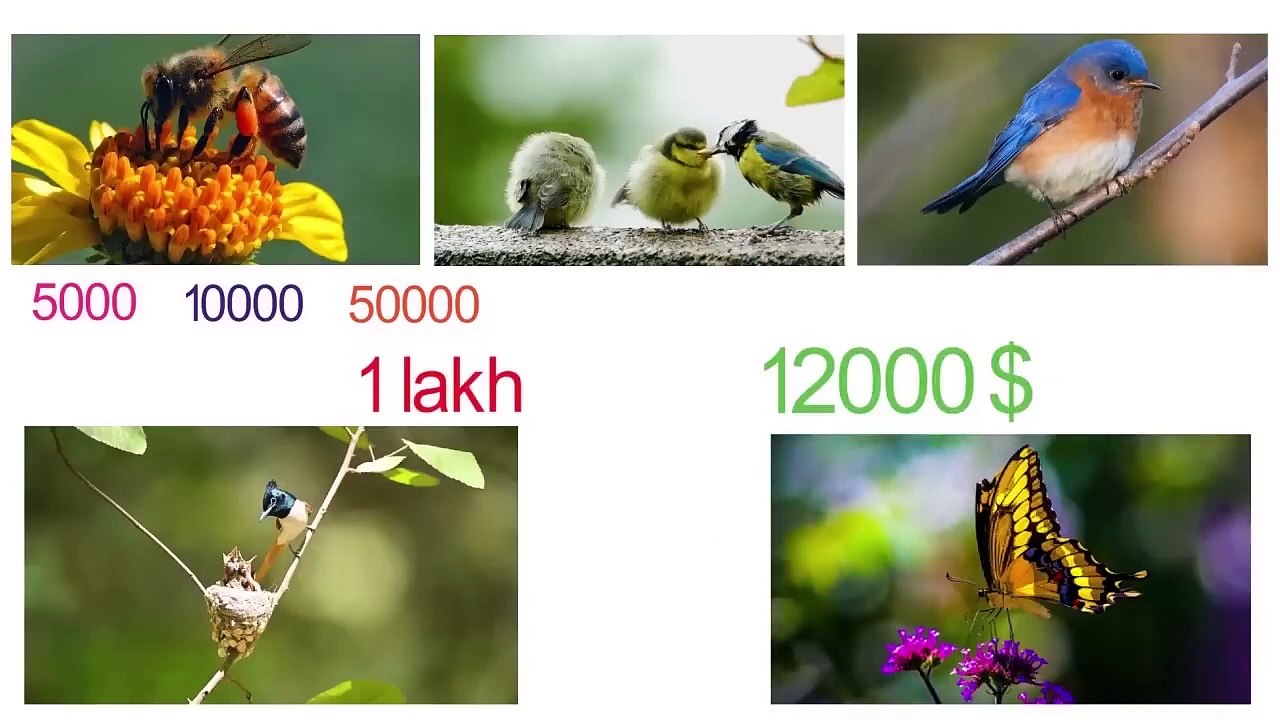 ৫ টি কাজের যে কোন ১ টির মাধ্যমে মাসে ১ থেকে ২ লাখ টাকা আয় করতে পারবেন । প্রচুর টাকা আয়ের ৫ টি উপায় ।