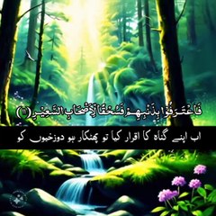 Most Beautiful Quran Recitation | Surah Al Mulk | Mohamed Al Fekih