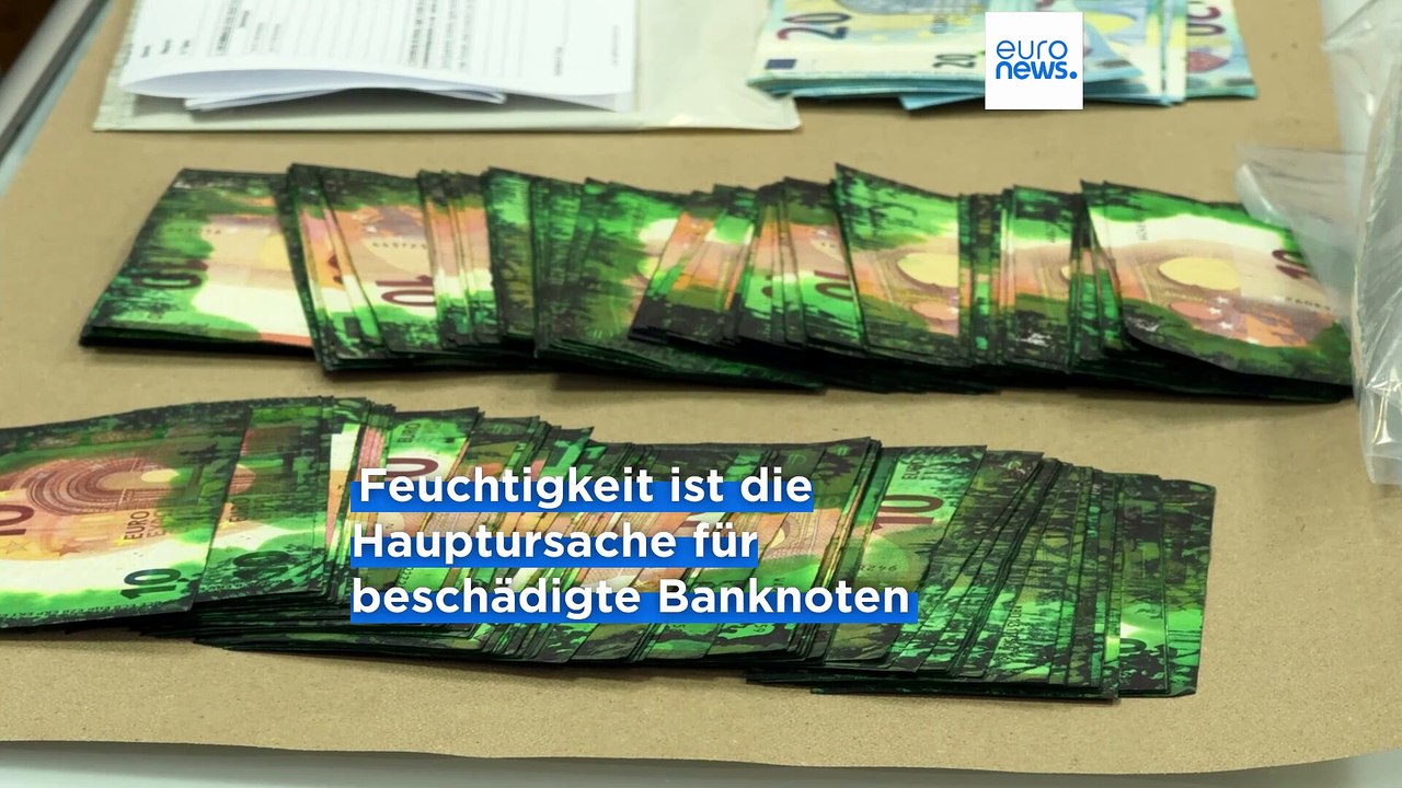 Portugal: Bargeld vergraben - Millionen Euro vernichtet