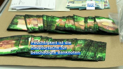 Portugal: Bargeld vergraben - Millionen Euro vernichtet