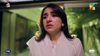 Qarz e Jaan - Episode 24 - 23rd March 2025  - HUM TV