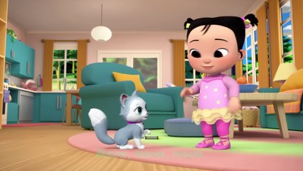 Kitty Cat Song   CoComelon Nursery Rhymes & Kids Songs