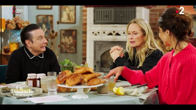 Ce 23 mars 2025 dans le nouveau numéro d'Un dimanche à la campagne, présenté par Frédéric Lopez sur France 2, Estelle Lefébure a évoqué sa rencontre avec David Hallyday, le père de ses deux filles Ilona et Emma Smet dont elle est aujourd'hui séparé... Une