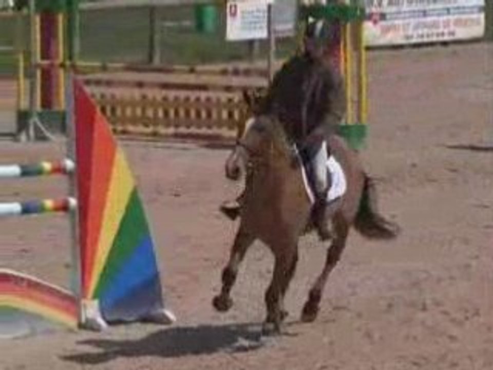 Qualisco des bruyères, Arnas, 15-17 Avril 2008, vidéo 1