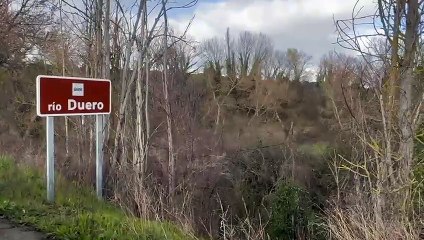 El Duero a su paso por Herrera y San Miguel del Pino tras la borrasca 'Martinho'