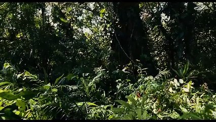 Apocalypto 2 (2025) - First Trailer