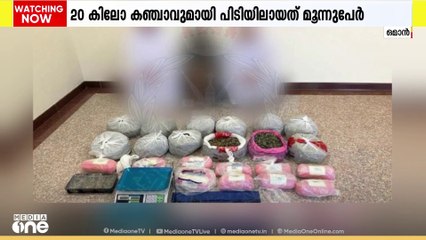 ഒമാനിൽ കഞ്ചാവുമായി പിടിയിൽ; 20 കിലോയിലധികം കഞ്ചാവുമായി മൂന്ന് പേർ പിടിയിൽ