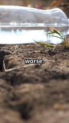 What If All Water Disappeared.