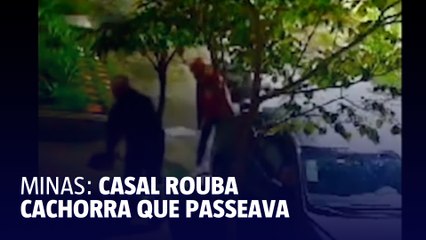 BH: Casal de entregadores pega cachorra na calçada durante entrega