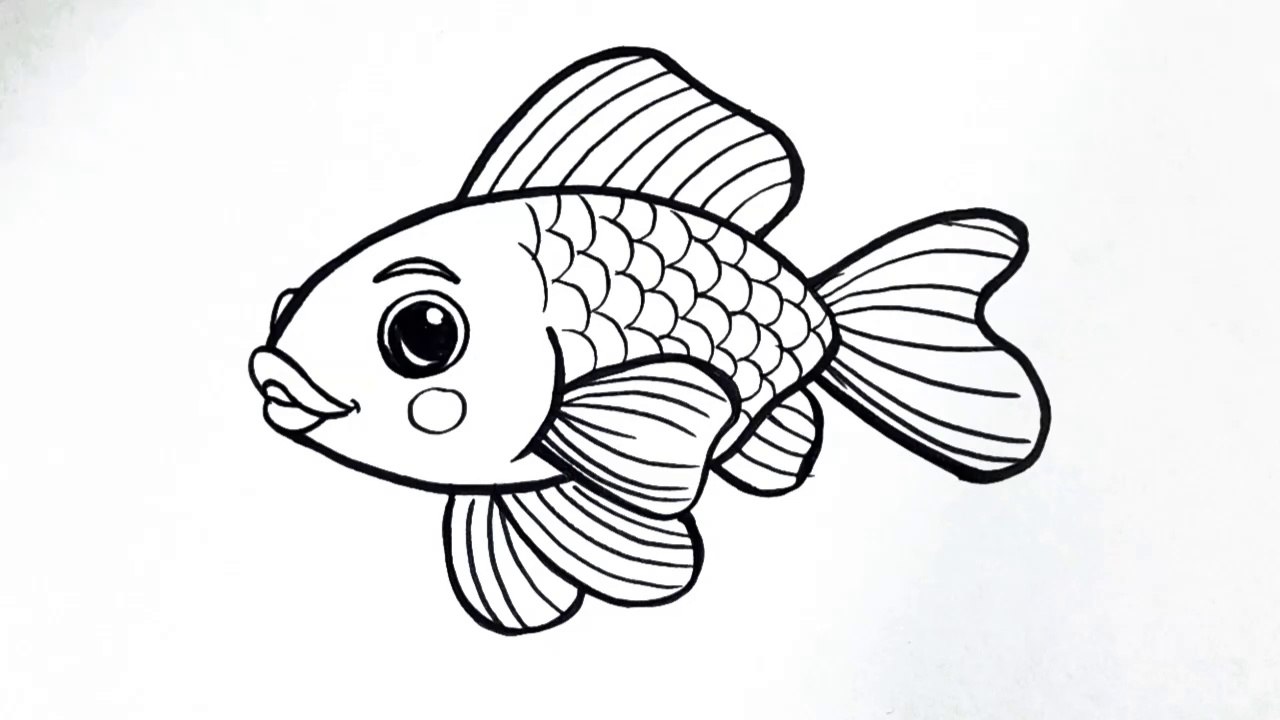 How to draw a fish easy step by step __ Easy fish drawing for beginners