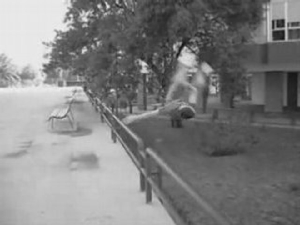 zitro, 2 años...prox