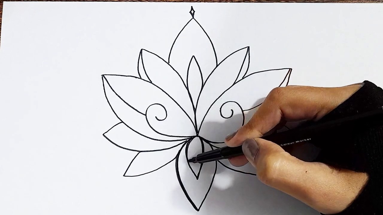 How to draw a flower easy step by step __ Lotus flower drawing