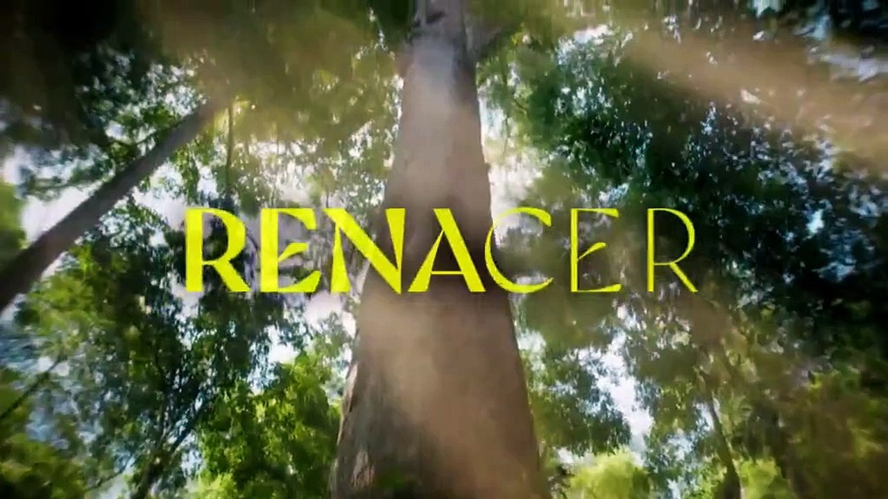 Renacer   Cap 161