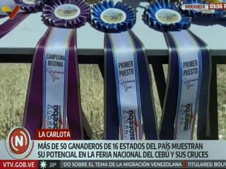Continúa experiencia ganadera con la Feria Nacional del Cebú y sus Cruces