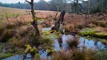 Countryfile - River Otter Return