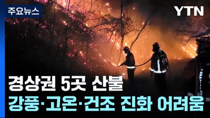 경상권 5곳에서 산불...강풍·고온·건조 진화 어려움 / YTN