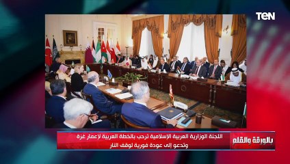 تفاصيل هامة في اجتماع اللجنة الوزارية العربية في القاهرة