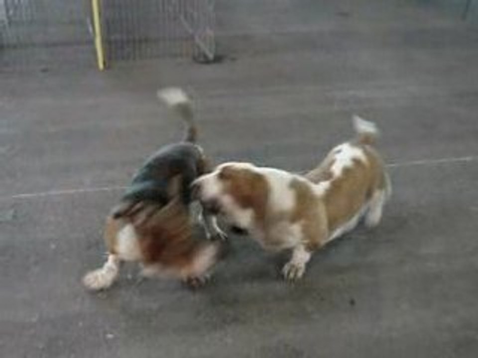 Vénus et Buzz : la rencontre