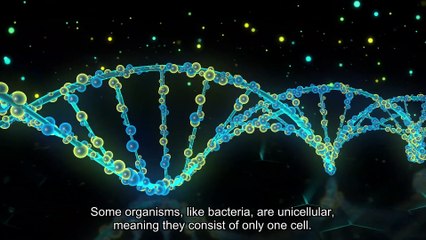 An Introduction to Biology