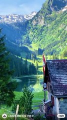 Watch the forest awaken as the golden sun rises, filling the air with the songs of birds and the gentle whisper of the wind. A mesmerizing start to the day!