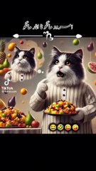 Fun,, Entertainment And Comedy