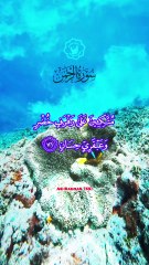 Surah Ar-Rahman (55) Verse 76-78 with English Translation